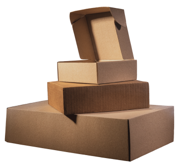 Case & Carton Sealing